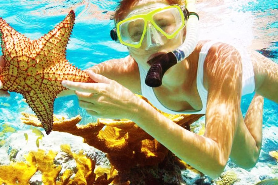 Giftun Island Snorkeling Boat Trip from Hurghada