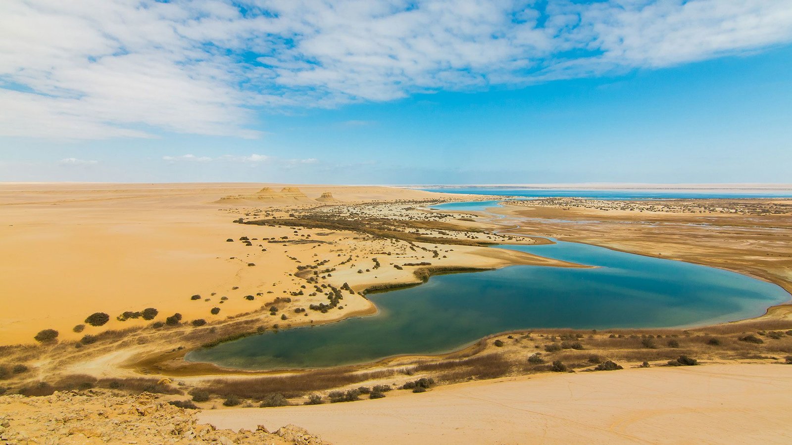 Fayoum Oasis & Wadi El Rayan Day Trip Guide