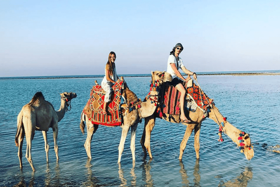 Wadi El Gemal National Park Private Day Tour