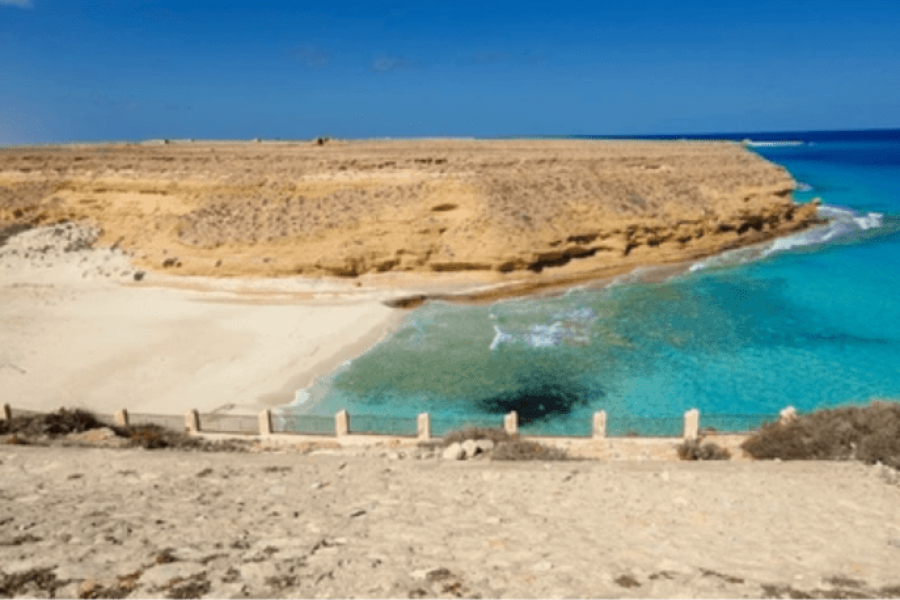 El Alamein Heritage & Mediterranean Coast Private Day Tour