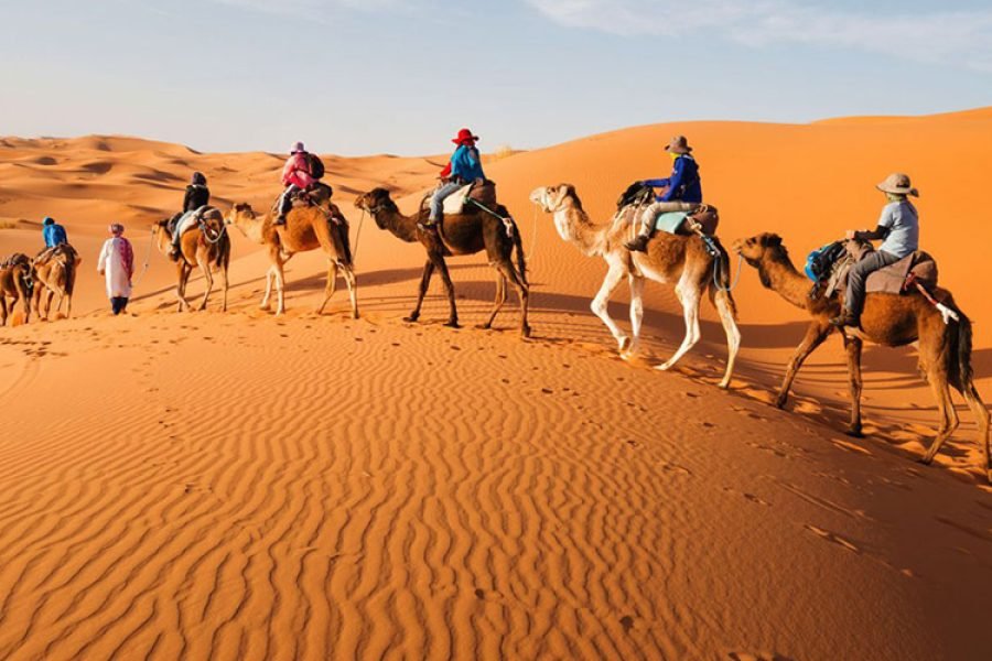 Marsa Alam Desert Safari & Bedouin Experience