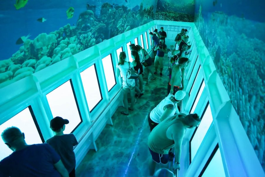 Hurghada Semi-Submarine Red Sea Experience