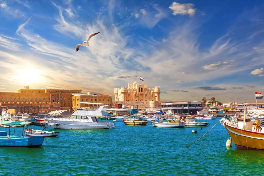 Alexandria Catacombs, Citadel & Library Private Day Tour