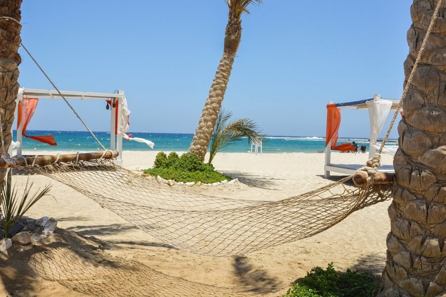Abu Dabbab Bay Snorkeling Experience