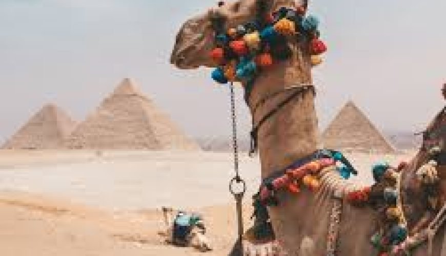 Two Days in Cairo: Pyramids, Museums & Historic Districts