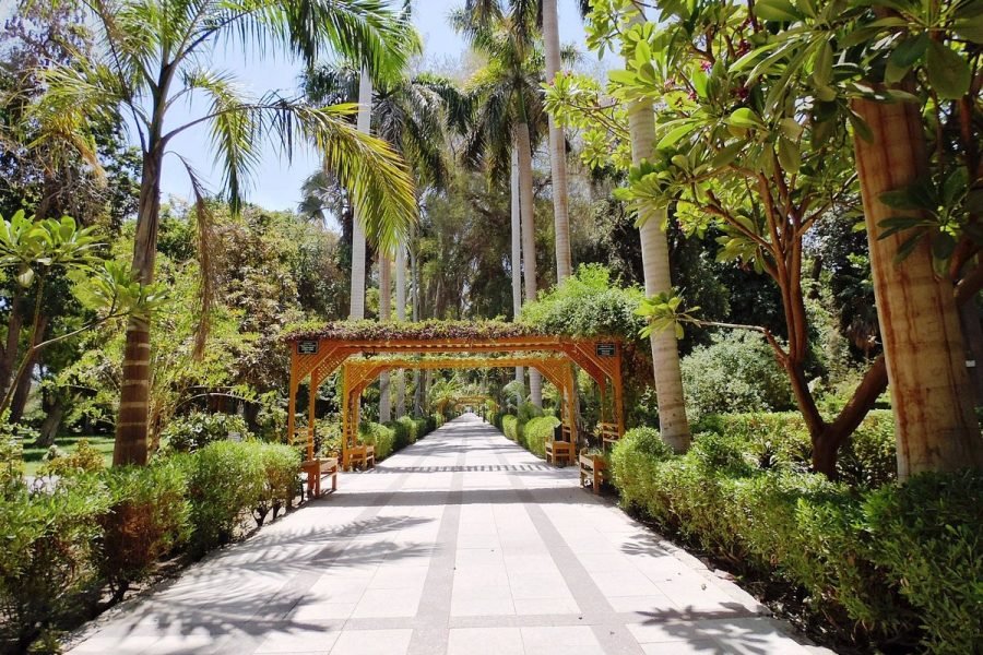 Nubian Museum & Botanical Garden Private Tour