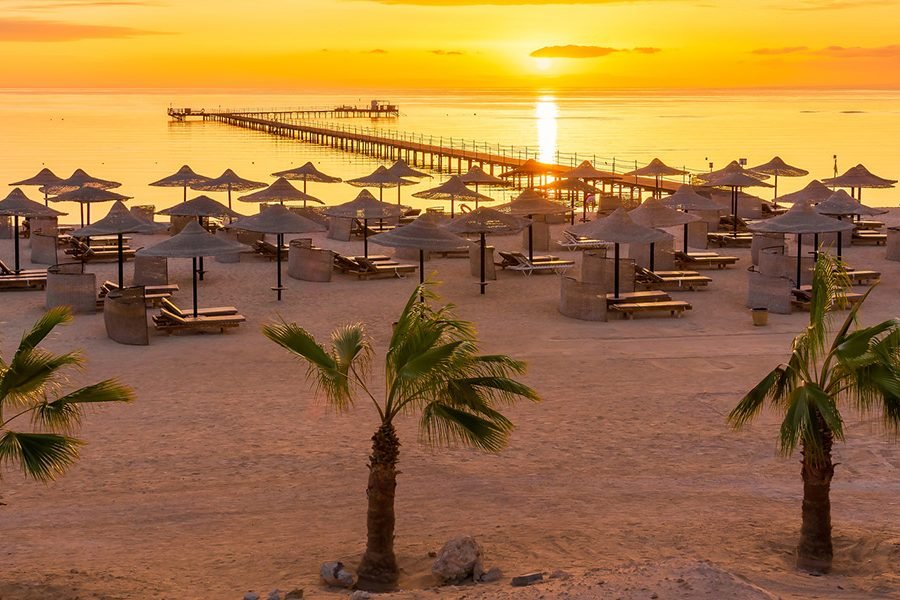 Sataya Dolphin Reef Boat Trip from Marsa Alam