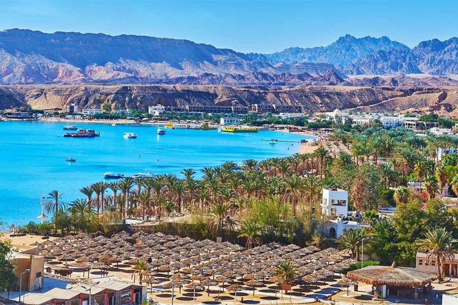Sharm El Luli & El Qulaan Private Day Tour